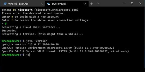 OpenJDK11 v11.0.16
