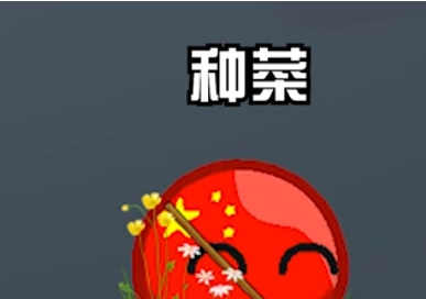 瓷球 v1.2