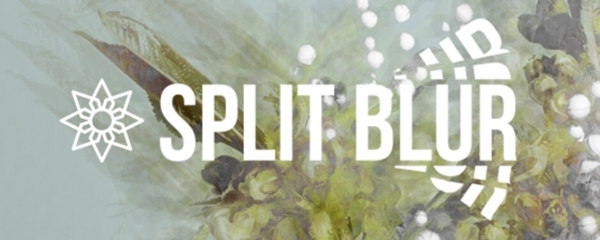 SplitBlur免激活版 v1.3.2